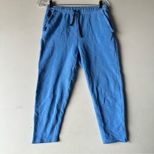 FRANK & EILEEN TEE LAB CROPPED LIGHT BLUE SWEATPANTS SIZE M